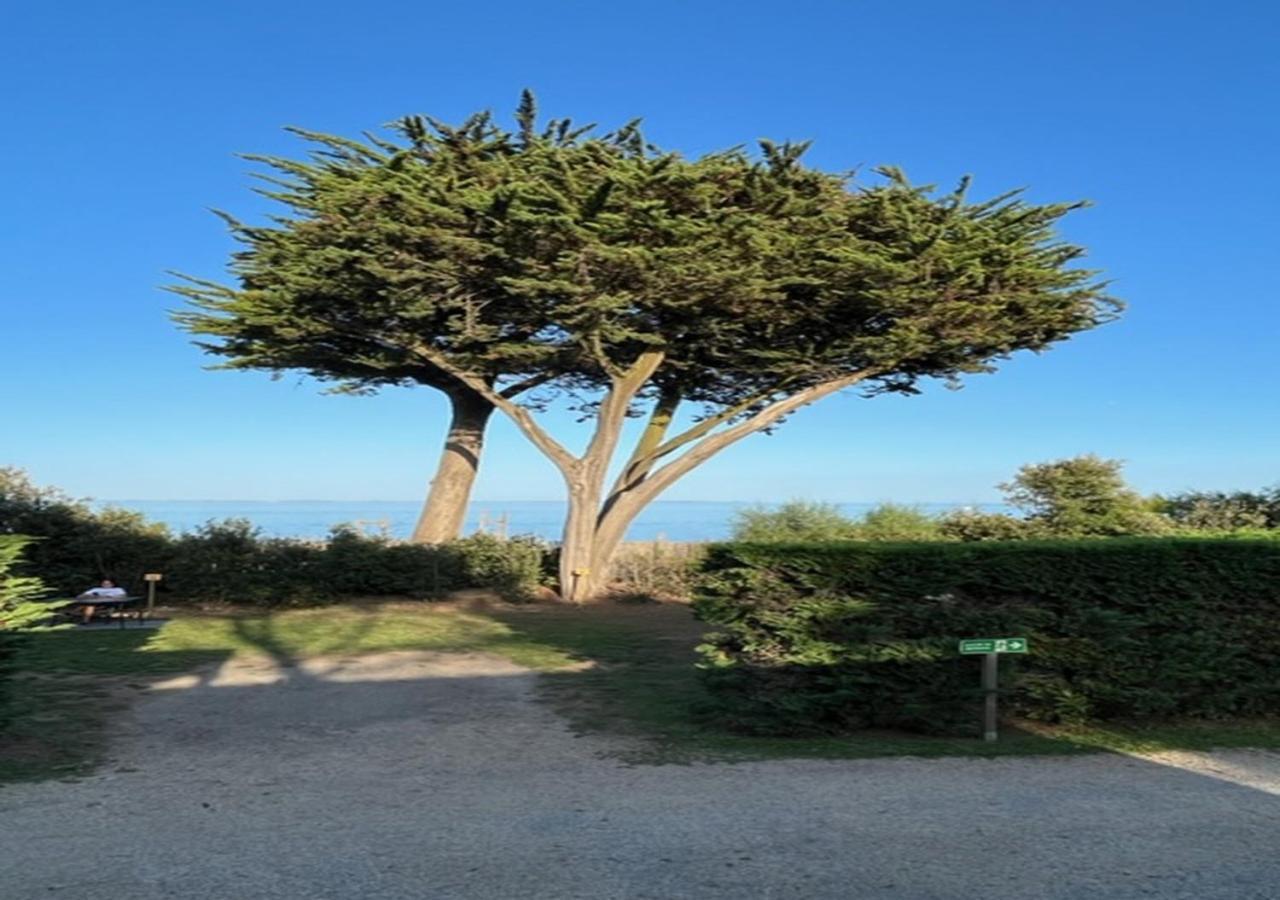 Mobilhomes Quiberon Camping Conguel - Bord De Mer Esterno foto